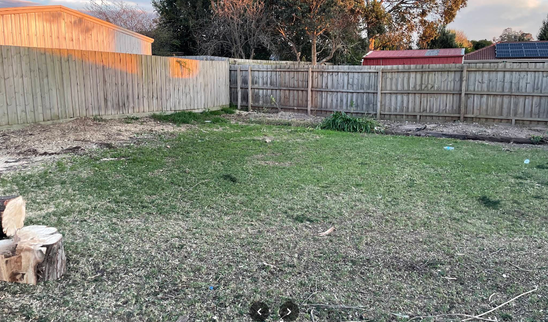 A.P. Tree Management job site