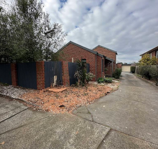 Tree work completed by A.P. Tree Management