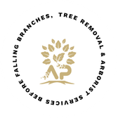 A.P. Tree Management certified arborist badge