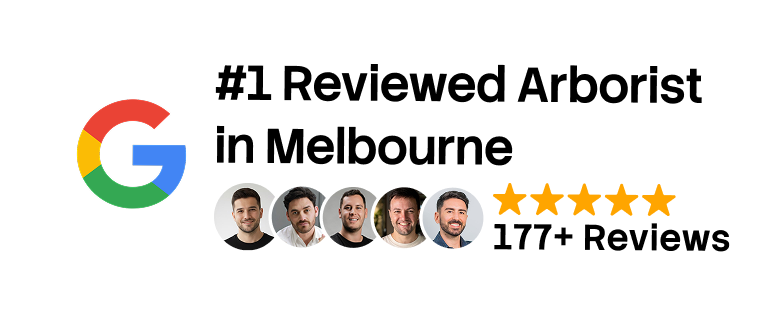 Ranked #1 on Google From 166 Google Reviews