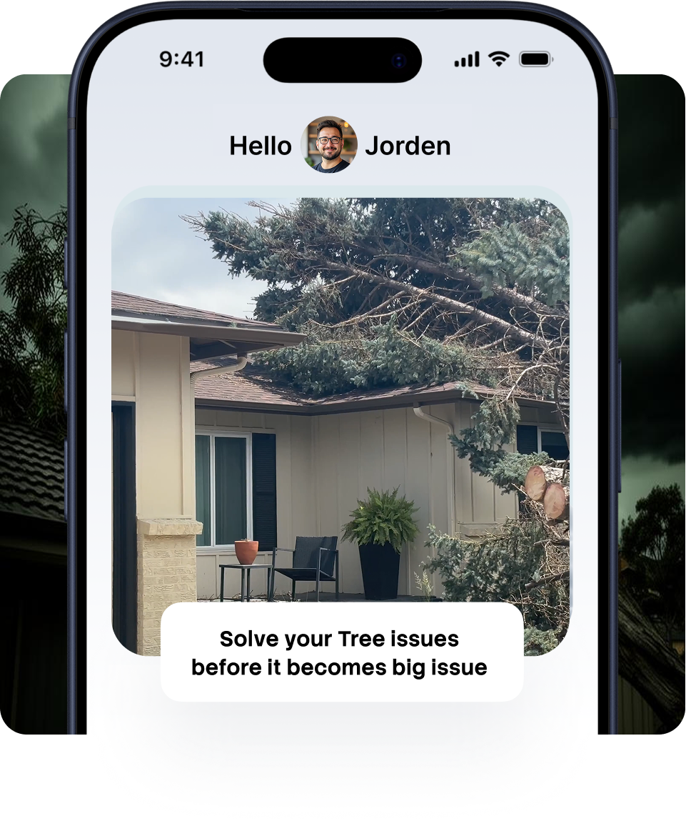 AP Tree Management app showing tree assessment