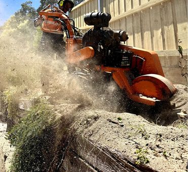 Stump grinding and clearing machine in action