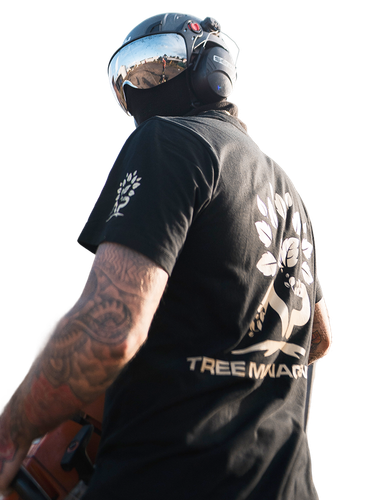 AP Tree Management professional arborist
